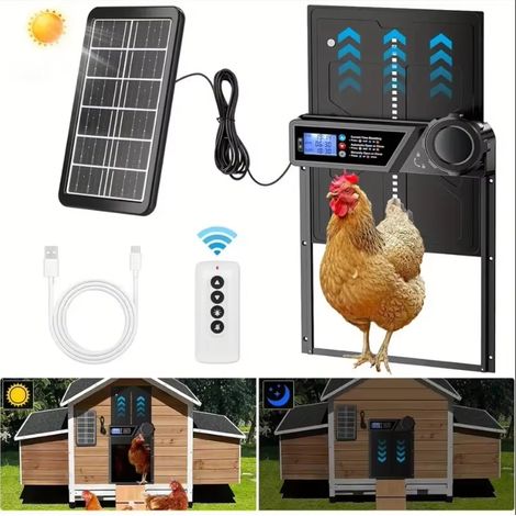 Porte automatique pour poulailler, protection anti-pincement, minuterie et capteur de luminosité, alimentation solaire (1/4)