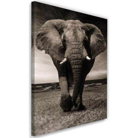 Tableau, éléphant XXL sur la savane - 60x90 (1/5)
