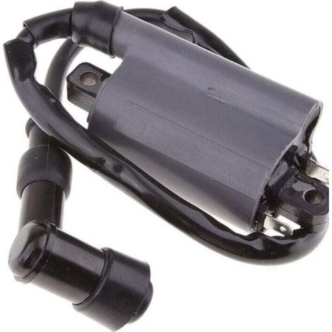 Bobina di accensione per motore Buyang 260 260cc 300cc D300 G300 (1/4)