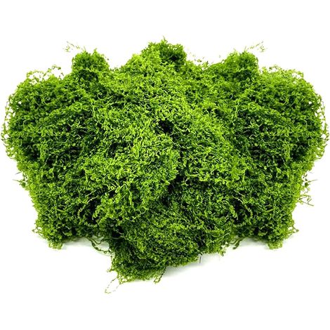 Mousse Artificielle 100g Filamenteux Fausse Mousse Vert Clair Decorative Mousse Doux et Tireable pour Pelouses, Décorations de Scène, Plantes Pot (1/5)