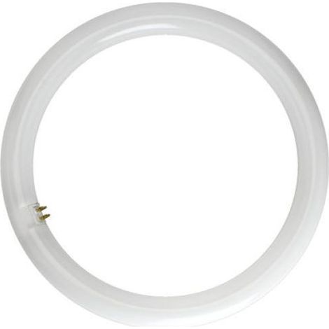 Reer lampada led circolare 18w 4000k attacco g10q reer 5456410