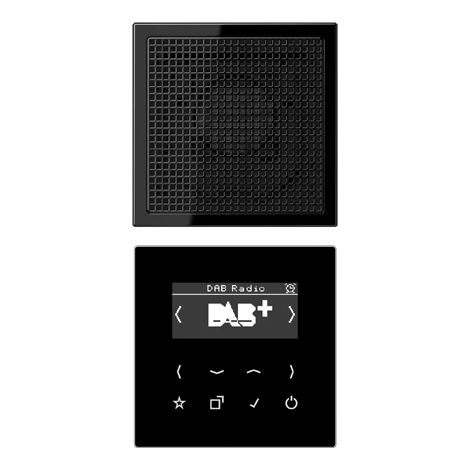 Jung Smart Radio DAB+, set mono 1 modulo, serie LS, nero DAB LS1 SW