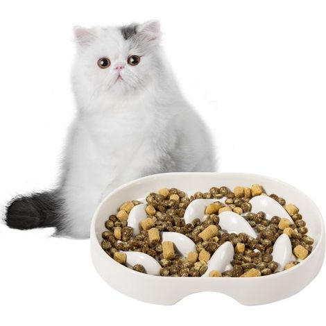 Comedero de alimentación lenta para gatos, Función antiatragantamiento, Comedero para gatos, 19142,65 cm, cachorros y otras mascotas, Blanco (1/5)