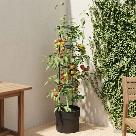 vidaXL Coltivatore di pomodori Nero Ø 32 x 127 cm PP (1/5)