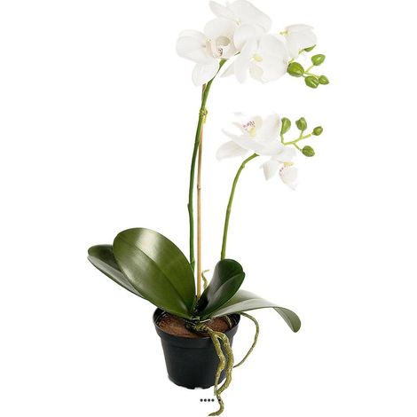 Orchidee artificielle 2 hampes en pot H 40 cm touché réel Blanc neige - couleur: Blanc neige