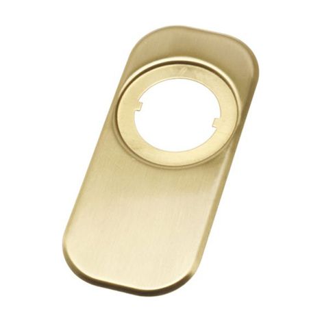 Embellecedor escudo laton mate165x74mm mod.10 6356 amig (1/2)