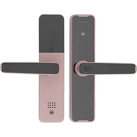 Biometrisches Fingerabdruck-Türschloss, elektronischer Türgriff, Passwort, Magnetkarte, Schlüssel, temporäres Programm, Roségold