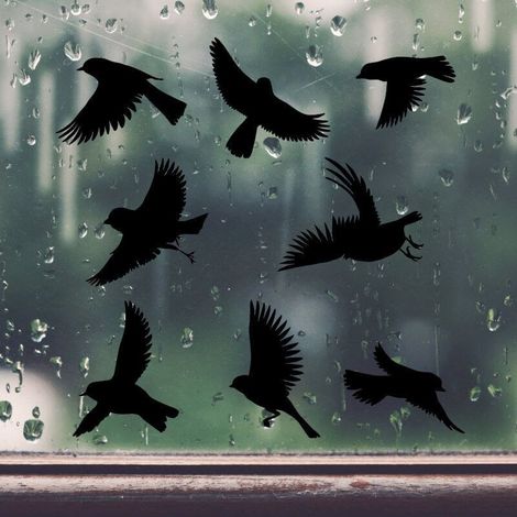 Stickers Anti Collision Oiseaux 8cm, 8PCS Stickers Fenetre Electrostatique PVC Autocollants, Noir Autocollant pour Vitre pour la Protection des Oiseaux (1/5)
