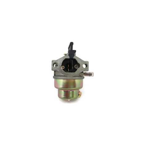 Carburateur DOLASO pour tondeuse à gazon G150 G200 5-5,5 CV, à eau