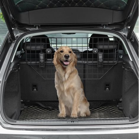 Rejilla separadora para perro de maletero ajustable de 90 a 120 cm en metal negro HAVRYA (1/5)