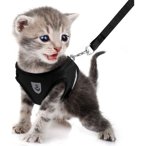 Harnais Chat et Laisse, Harnais Chaton Chiot Anti évasion Réglable Réfléchissant Gilet en Maille Respirant Souple pour Petits Chiens et Chats (1/5)
