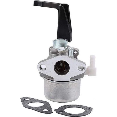 696065 Vergaser für Briggs & Stratton 696065 697422 110402-0206-E1