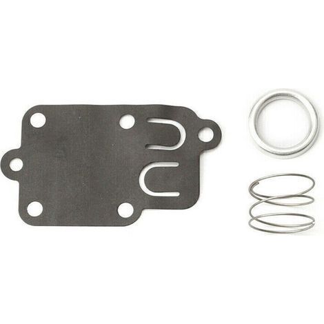 Briggs & Stratton Vergasermembran (1/5)