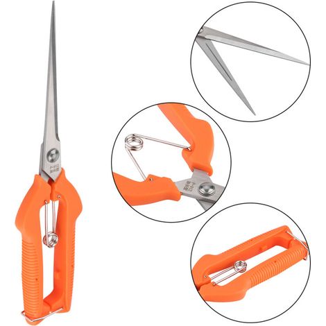 Ciseaux de Jardinage 250mm pour Récolte de Fruits et Taille de Plantes - Outil de Jardin Idéal pour Bonsaïs et Fleurs-KZQ