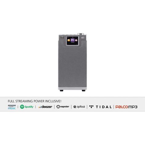 DABMAN i610 Radio Estéreo Multifuncional DAB+ / FM / Internet / Bluetooth Gris