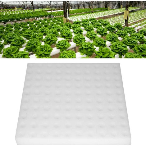 Lot 100 éponges hydroponiques – carrées – outil plantation jardinage – serre