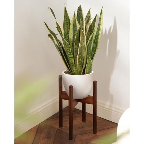 Verstellbarer Pflanzenständer aus Holz im Mid-Century-Stil – Moderner, freistehender Übertopf für Blumentöpfe – Pflanzenhocker und -sockel für den Innen- und Außenbereich (1/4)