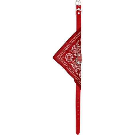 24x Hundehalsband mit Halstuch Haustiere Hunde Leine Geschirr Katze Halsband Set (1/5)