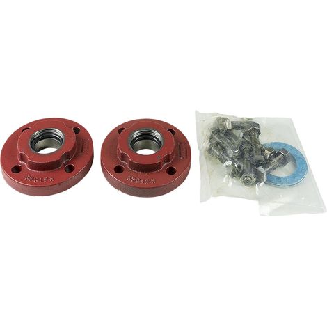Jeu de compensation A 17 G6/4"xDN40 (PN06)