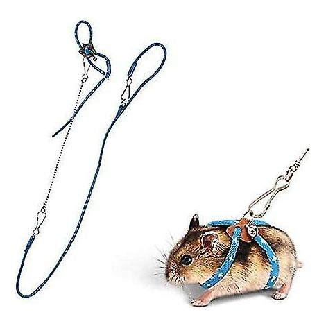 Nouveau Petit Animal Réglable Harnais Souple Laisse Oiseau Perroquet Souris Hamster Furets Rat Pet Pig Leash-bleu (1/3)