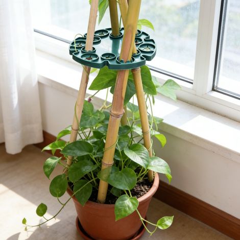 5 pcs Porte-plante Support de Pois 12 Trous - Bambou - Plastique - Vert (1/3)