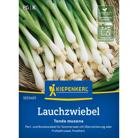 Kiepenkerl Saatgut Lauchzwiebel Tonda musona für ca. 1 – 1,5 m² (1/2)