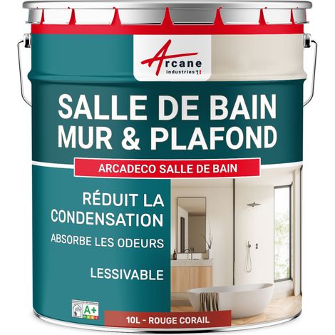 Peinture salle de bain, mur et plafond, condensation - 10 L Rouge corail - RAL 3016 - ARCANE INDUSTRIES