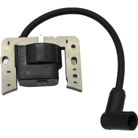 Bobine D Allumage - Module A L Etat Solide - Pour Moteurs Tecumseh Lev100 Lev115 Lev120 Lv148a Ovrm105 - 1 Unite (1/5)