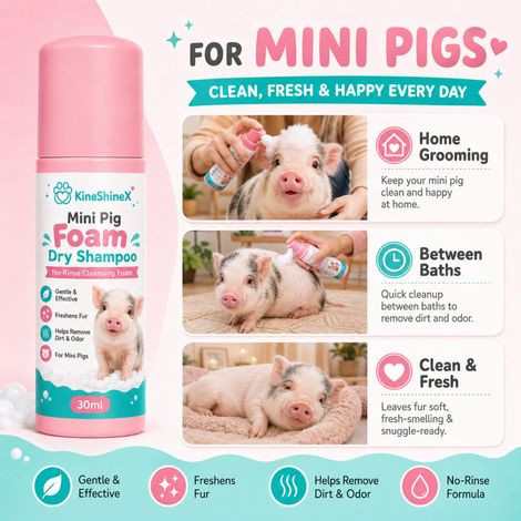 KineShineX Mini Pig Schaumshampoo ohne Ausspülen für Hausschweine: Geruchsentfernung und Reinigung, kein Wasser erforderlich, Trockenreinigung (1/5)