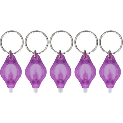 Lot de 5 mini porte-clés UV (longueur d'onde 365 nm et 395 nm) à LED violette portable, lampe torche UV (1/5)