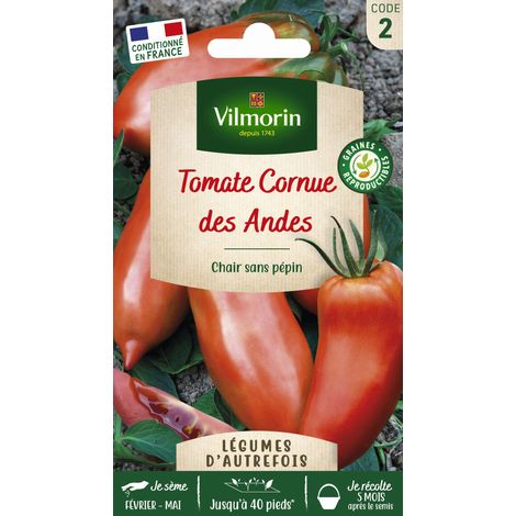 Tomate Cornue des Andes - Légumes d'Autrefois Vilmorin