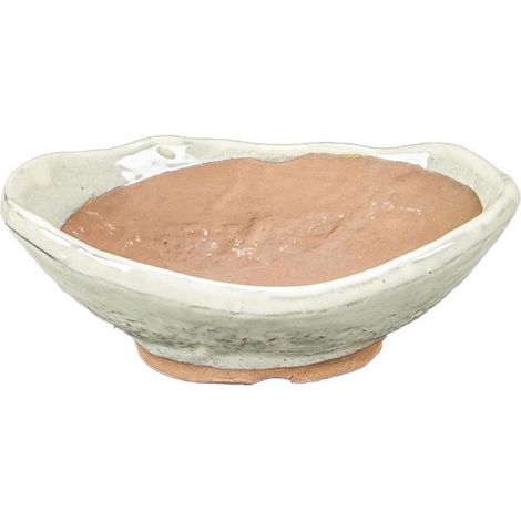 Vaso per bonsai Giapponese Morrisan ovale in gres smaltato bianco 13x8,5x3-4 cm - B08-21 (1/4)