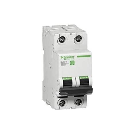 Schneider Electric C60SP Multi 9 Interruttore 13A 2 Poli