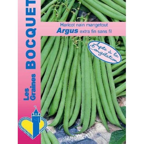 Haricot nain mangetout 'Argus' le sachet de 150 graines (90g)