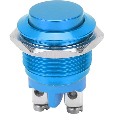 Interrupteur à bouton-poussoir métallique étanche en acier inoxydable, auto-rétablissement, normalement ouvert, 16mm, 220V (Bleu) (1/5)