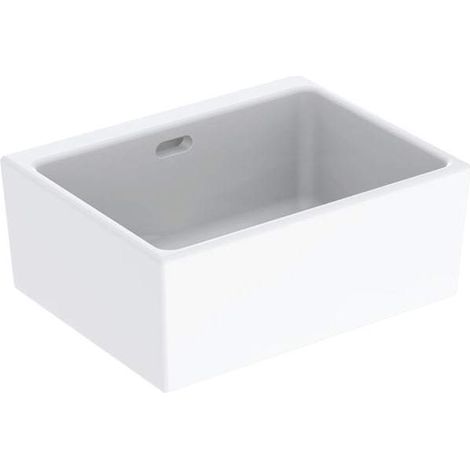 GE Publica Mehrzweckbecken mit Überlauf 50x20x39cm, weiß (1/5)
