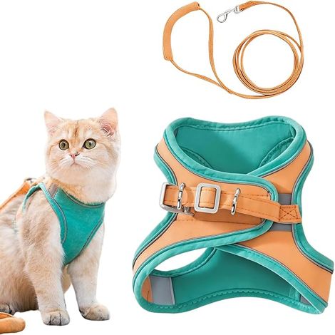 Cat Harness with Leash, Adjustable Anti-Choke Chest Harness for Cats and Small Dogs, Green Orange (M) (1/5)