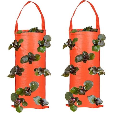 CCYKXA Lot de 2 sacs de culture à suspendre pour cultiver des fraises et des tomates - Plusieurs poches de plantation - Matériau résistant aux intempéries optimisé pour les conditions extérieures