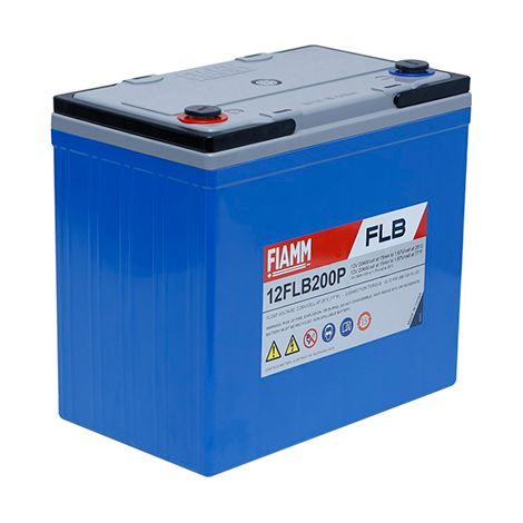 Fiamm - Batterie onduleur (UPS) FIAMM 12FLB200P 12V 55Ah M6-F
