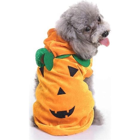 Sweat à capuche pour chien, pull basique, manteau chaud en forme de citrouille, tenue d'Halloween pour animaux de compagnie par temps froid - Taille M (1/5)