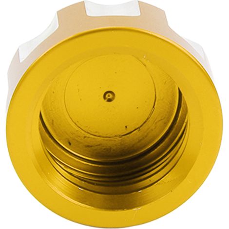 Bouchon de réservoir d'eau de radiateur de moto, surface anodisée, antirouille, remplacement pour DESERTX XDIAVEL 1262 2016 à 2018, or (1/5)