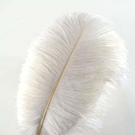 Lot de 10 Plumes d’Autruche (Blanc) Creny de 30 à 35 cm pour décoration d’intérieur ou Mariage