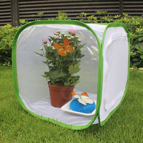 Tragbarer Insekten- und Schmetterlingskäfig, Insektenunterkunft, Zuchtkäfig (1/5)