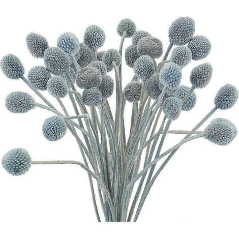 20 fleurs artificielles séchées Craspedia, fausses boules de fleurs séchées Billy Button pour la décoration de la maison, du bureau, des fêtes et des mariages (bleu) (bleu) (1/5)