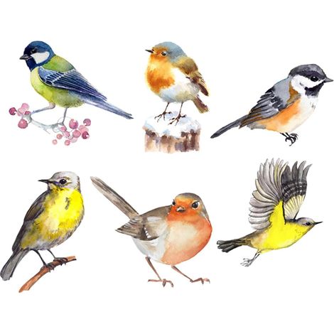 6pcs Autocollants de Fenêtre Oiseaux en Pvc Décoratifs et Anti-collision, Motifs Réalistes en Couleurs Variées pour Murs et Salles de Réunion (1/5)