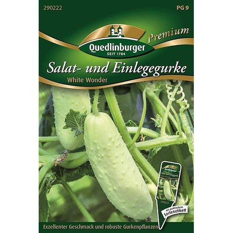 Quedlinburger Salat-u. Einlegegurke White Wonder - Gemüsesamen
