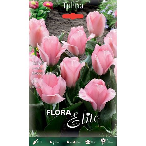 BULBI AUTUNNALI TULIPANO FOSTERIANA SWEET SIXTEEN CONFEZIONE DA 10 BULBI BULBS BULBES