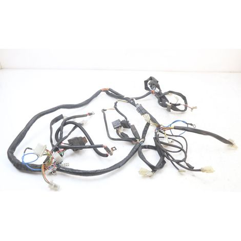FAISCEAU APRILIA SCARABEO GT 125 1999 - 2007 (1/5)