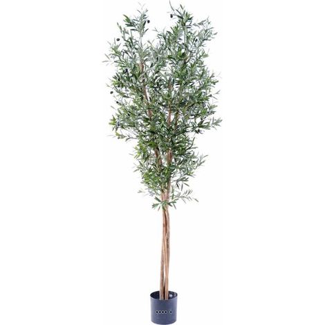 Olivier artificiel en pot 3 troncs H 210 cm Vert - dimhaut: H 210 cm - couleur: Vert