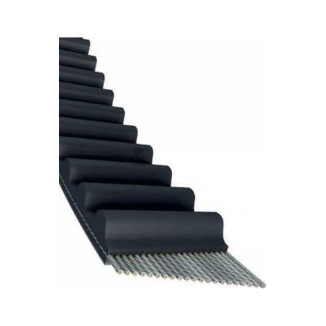 Courroie tondeuse 856-S8M12 simple denture  12 x 856 mm (1/5)
